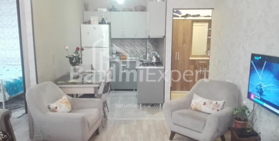 آپارتمان 66 متر مربع - الکساندرا پوشکین, Batumi, گرجستان