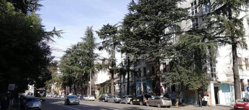 آپارتمان 61 متر مربع - نیکولوز باراتاشویلی, Batumi, گرجستان
