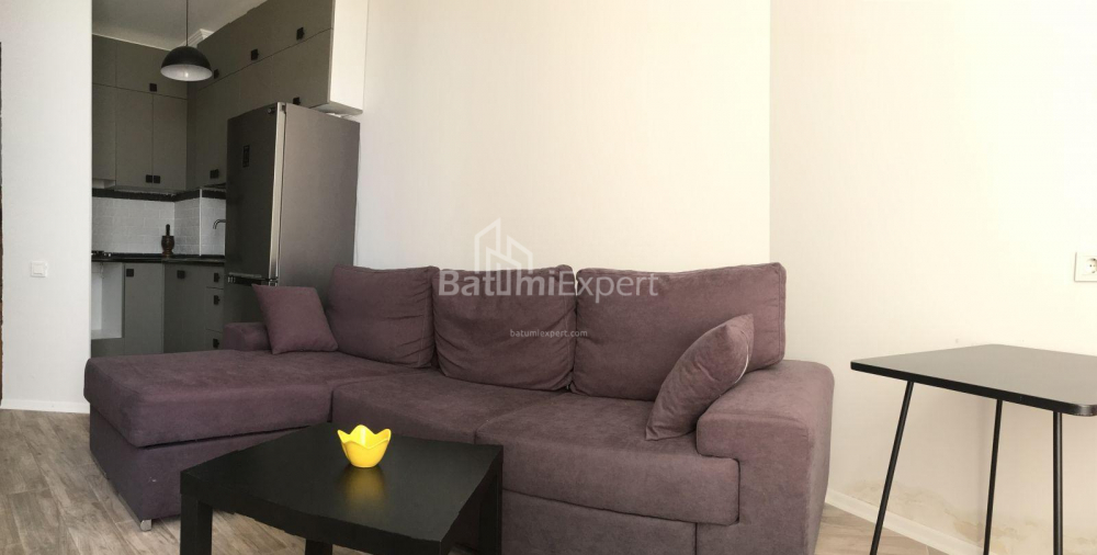 آپارتمان 48 متر مربع - الکساندرا پوشکین, Batumi, گرجستان
