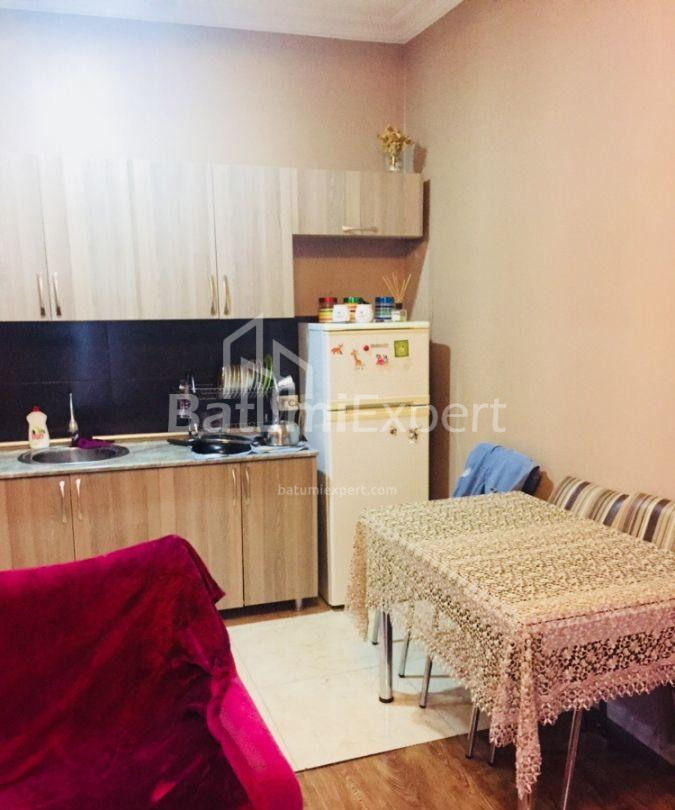 آپارتمان 46 متر مربع - الکساندرا پوشکین, Batumi, گرجستان
