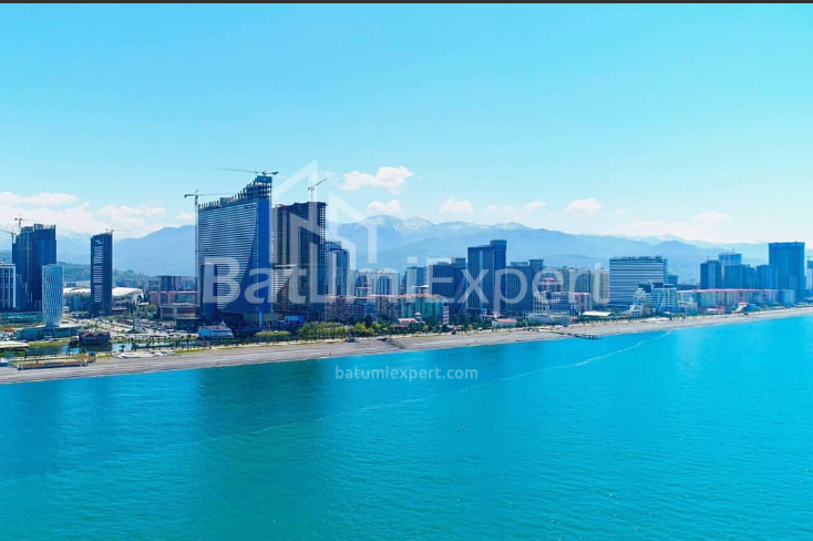 آپارتمان 33 متر مربع - کلانتر خیمشیاشویلی, Batumi, گرجستان