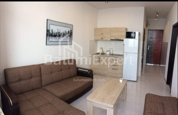 آپارتمان 42 متر مربع - شالوا ایناساریدزه, Batumi, گرجستان