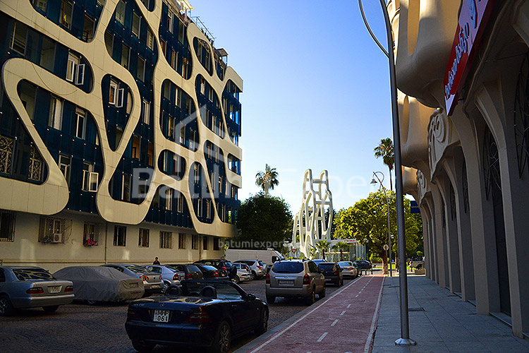 آپارتمان 43 متر مربع - روستاولی, Batumi, گرجستان