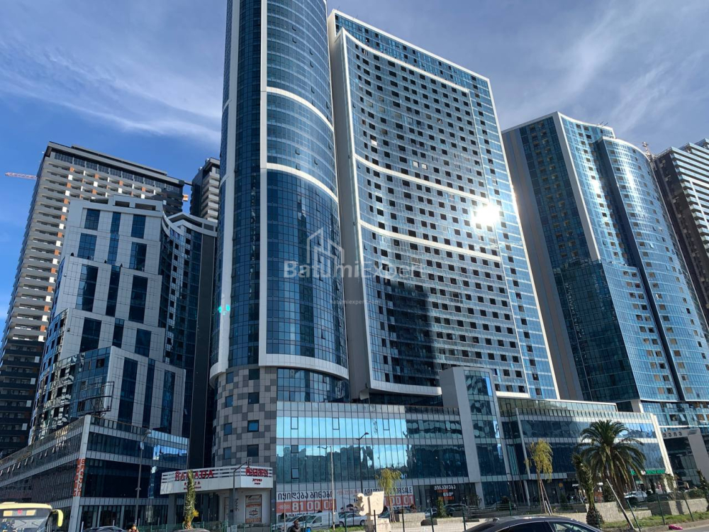 آپارتمان 48 متر مربع - نیکو پیروسمانی, Batumi, گرجستان