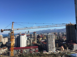 آپارتمان 48 متر مربع - نیکو پیروسمانی, Batumi, گرجستان