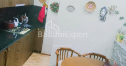 آپارتمان 52 متر مربع - واختنگ گرگاسالی, Batumi, گرجستان