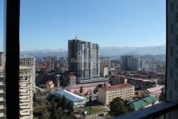 آپارتمان 30.3 متر مربع - کوچه قهرمانان, Batumi, گرجستان