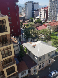 آپارتمان 48 متر مربع - واختنگ گرگاسالی, Batumi, گرجستان