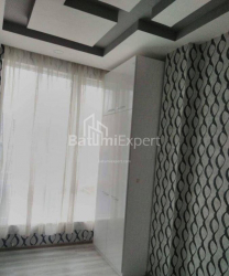 آپارتمان 60 متر مربع - نیکو پیروسمانی, Batumi, گرجستان