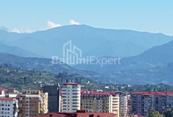 آپارتمان 35 متر مربع - یوسف کوبالادزه, Batumi, گرجستان