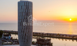 آپارتمان 1-комн 30 m² - زورابا گورگیلادزه, Batumi
