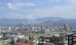 آپارتمان 1-комн 31 m² - نیکو پیروسمانی, Batumi