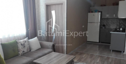 آپارتمان 4-комн 66 m² - الکساندرا پوشکین, Batumi