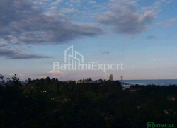 قطعه زمین 300 m² - یوریوسکایا, Batumi