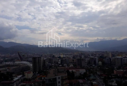 آپارتمان 50 متر مربع - نیکو پیروسمانی, Batumi, گرجستان