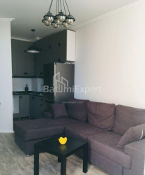 آپارتمان 2-комн 48 m² - الکساندرا پوشکین, Batumi