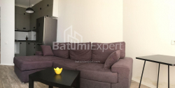 آپارتمان 2-комн 48 m² - الکساندرا پوشکین, Batumi