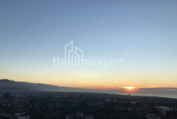 آپارتمان 1-комн 36 m² - گریگولا الیوا, Batumi