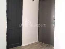 آپارتمان 2-комн 48 m² - الکساندرا پوشکین, Batumi