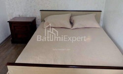 آپارتمان 250 متر مربع - یوریوسکایا, Batumi, گرجستان