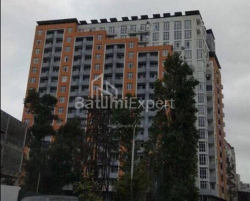 آپارتمان 31 متر مربع - الکساندرا پوشکین, Batumi, گرجستان