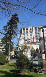 آپارتمان 1-комн 45 m² - دیوید کلدیاشویلی, Batumi