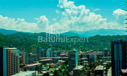آپارتمان 62 متر مربع - واختنگ گرگاسالی, Batumi, گرجستان