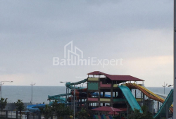 آپارتمان 46 متر مربع - یوریوسکایا, Batumi, گرجستان