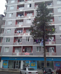 آپارتمان 3-комн 47 m² - واختنگ گرگاسالی, Batumi