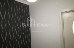 آپارتمان 48 متر مربع - پترا ملیکیشویلی, Batumi, گرجستان
