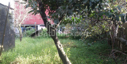 آپارتمان 8-комн 250 m² - یوریوسکایا, Batumi