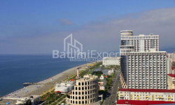 آپارتمان 1-комн 28 m² - یوریوسکایا, Batumi