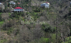 آپارتمان 2-комн 170 m² - یوریوسکایا, Batumi