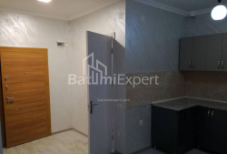 آپارتمان 48 متر مربع - پترا ملیکیشویلی, Batumi, گرجستان