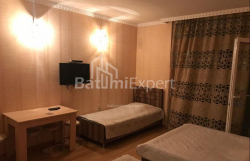 آپارتمان 33 متر مربع - یوریوسکایا, Batumi, گرجستان