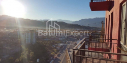 آپارتمان 1-комн 28 m² - پترا باگریونی, Batumi