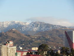 آپارتمان 1-комн 33 m² - نیکو پیروسمانی, Batumi
