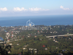 خانه شخصی 6-комн 5000 m² - مزگوارتا, Chakvi