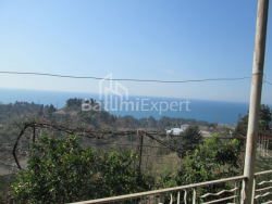 خانه شخصی 6-комн 4000 m² - دیوید آگماشنبلی, Kobuleti
