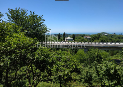 قطعه زمین 536 m² - آگماشنبلی, Chakvi