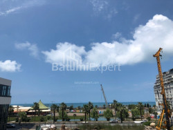 آپارتمان 29 متر مربع - زورابا گورگیلادزه, Batumi, گرجستان