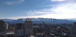 آپارتمان 1-комн 31.3 m² - شالوا ایناساریدزه, Batumi