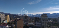 آپارتمان 1-комн 31.3 m² - شالوا ایناساریدزه, Batumi