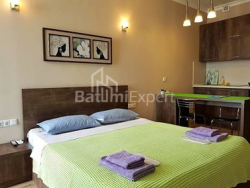آپارتمان 1-комн 29 m² - زورابا گورگیلادزه, Batumi