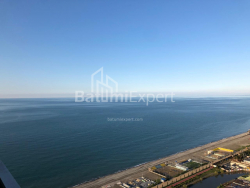 آپارتمان 44 متر مربع - کلانتر خیمشیاشویلی, Batumi, گرجستان