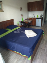 آپارتمان 28 متر مربع - یوسف کوبالادزه, Batumi, گرجستان
