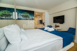 آپارتمان 1-комн 30 m² - کلانتر خیمشیاشویلی, Batumi