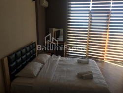 آپارتمان 1-комн 32.8 m² - یوسف کوبالادزه, Batumi