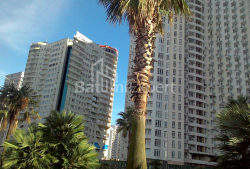 آپارتمان 29 متر مربع - زورابا گورگیلادزه, Batumi, گرجستان