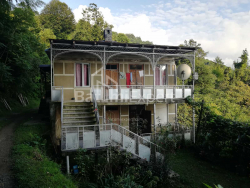 خانه شخصی 4-комн 2501 m² - آکاکی شاینیدزه, Khelvachauri